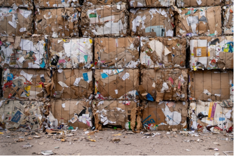 貓先生互聯(lián)網(wǎng)廢品回收加盟，智能收廢品，回收加盟廠家